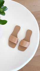 Fayah Slides - Desert