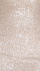 Cher Maxi Dress - Silver/Nude Sequins